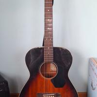 Chitarra acustica Walden Hawthorne H0221TB