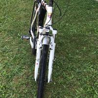 Bicicletta city bike bottecchia
