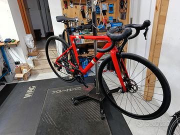 Cannondale CAAD13