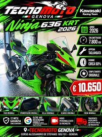 Kawasaki Ninja 636 ZX-6R KRT