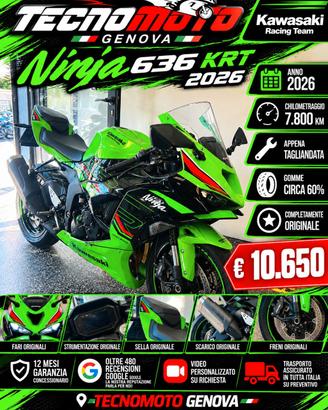 Kawasaki Ninja 636 ZX-6R KRT