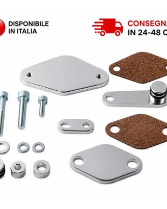 Kit Riparazione Valvola EGR BMW B47 2.0 Diesel