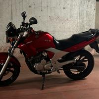 Yamaha YBR 250 - 2017 A2 trattabile