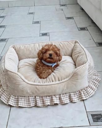 Barboncini mini toy
