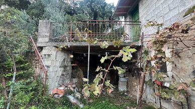 Arbus- Lotto con ricovero attrezzi loc. Cannamenda