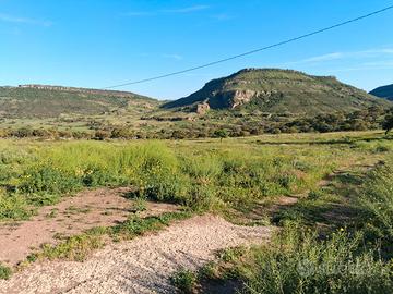 Campagna