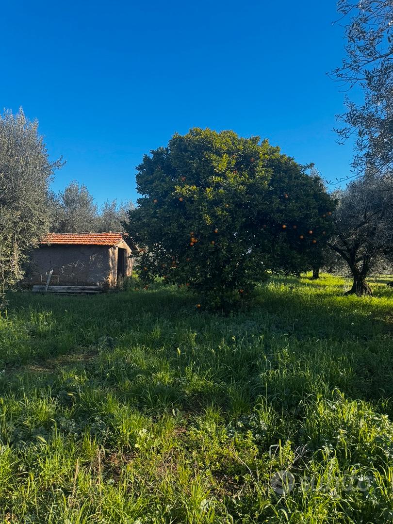 Terreno agricolo 15000 mt - Ansicht 3