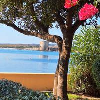 Casa vacanza sul mare Stintino- Sardegna Nord