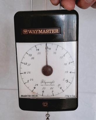 bilancia da pesca waymaster 