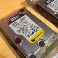 HDD 1TB 3.5" western digital