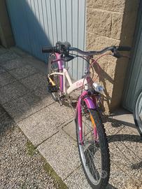 bicicletta ragazzina cambio Shimano 