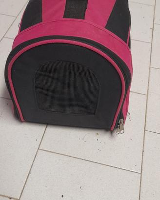 trasportino gatto