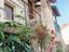 Immagine 12