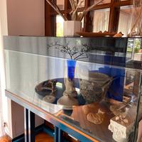 Rettilario acquario teca vasca vetro