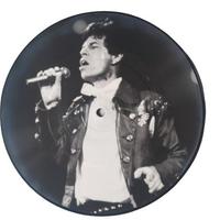  the Rolling Stones pictures disc 