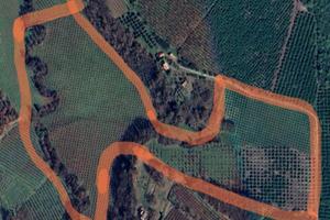 Terreno agricolo noccioleti