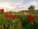 villa-fermo