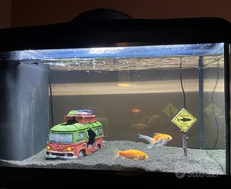 Acquario Amtra Riviera 60 con base e prodotti