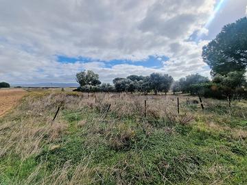 Lotto agricolo fronte strada