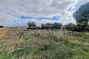 Lotto agricolo fronte strada