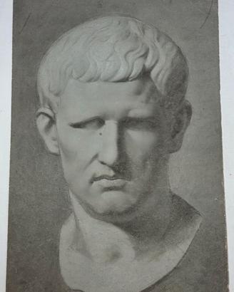 Antico Disegno Accademico Busto di Agrippa XIX S.