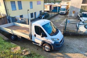 Fiat Ducato Cassone 5 Metri IVA COMPRESA