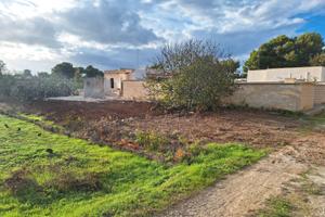 Terreno edificabile a San Pietro in Bevagna
