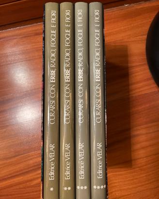 Curarsi con erbe, radici, foglie e fiori