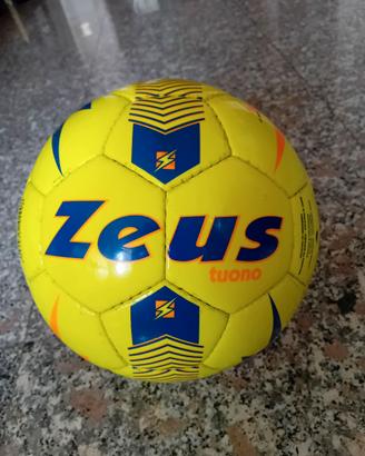 Pallone da calcio