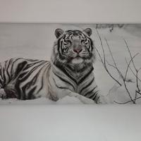 Stampa su tela tigre siberiana