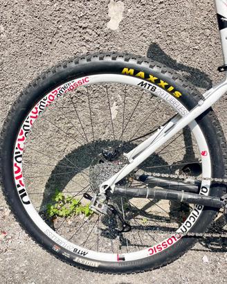 Mountain bike
