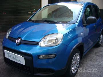 FIAT Panda 1.0 FireFly S&S Hybrid Md.24 Km0 VETT