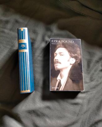 "I cantos" Volume primo di Ezra Pound