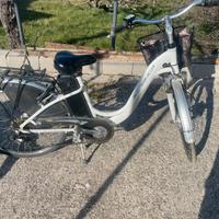 bici elettrica adriatica