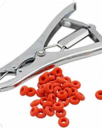 Pinza per castrazione piu elastici