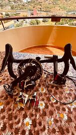 Gruppo sram red axs 12 v