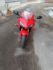 CBR 600 RR 2005 Asi