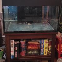 Acquario artigianale 350l netti