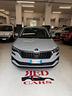 skoda-karoq-2-0-tdi-evo-scr-115-cv-dsg-executive