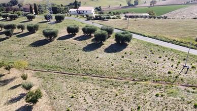 TERRENO AGRICOLO 12000 MQ