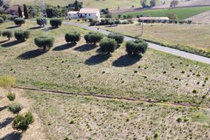 TERRENO AGRICOLO 12000 MQ