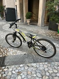 Kappa bici