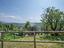 Immagine 27