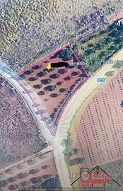 Terreno Contrada Sant'Anna (Rif.1633)