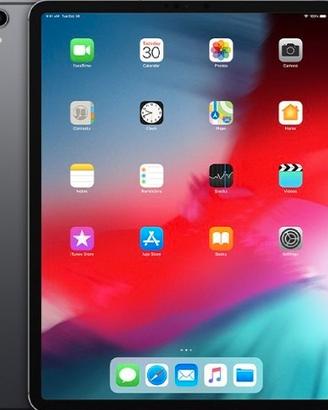 iPad Pro 12,9” wifi 256G  (3 gen 2015)