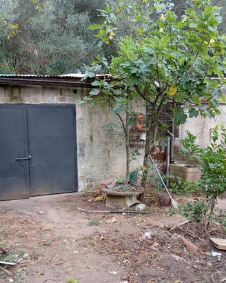 Terreno edificabile