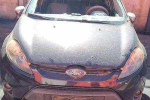 Ricambi Ford Fiesta 1.4 Benz/ GPL 2010 RTJA