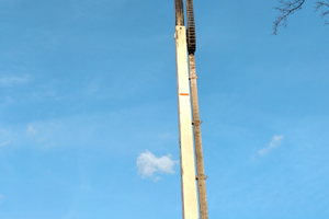 Piattaforma nissan trade