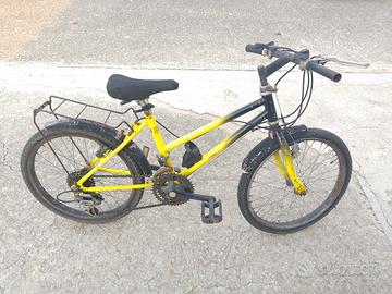 bicicletta 