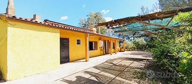 Terreno agricolo a Berchidda